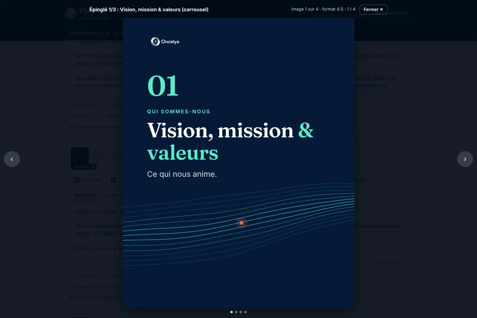 Full-screen viewer for carousels
